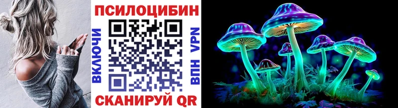 Псилоцибиновые грибы Cubensis Железноводск