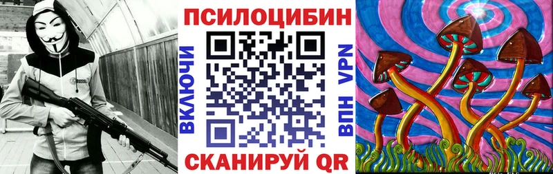 MEGA tor  где купить наркотик  Железноводск  shop телеграм  Галлюциногенные грибы мицелий 